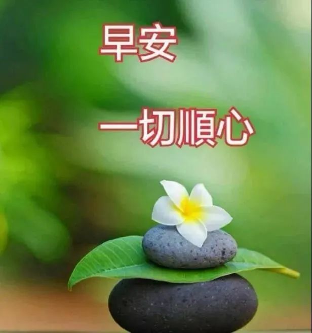 8月23日最漂亮的早上好祝福语图片温馨 清晨群发短语