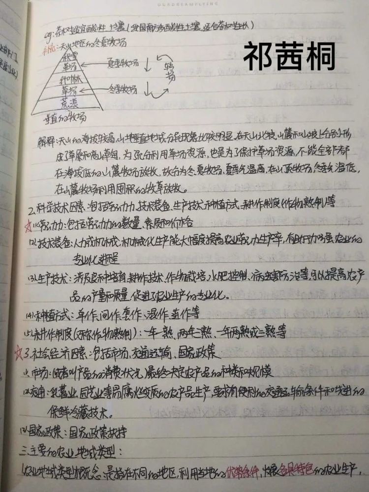 优秀的笔记啥样?哈市一省重点学霸超级手写笔记曝光!