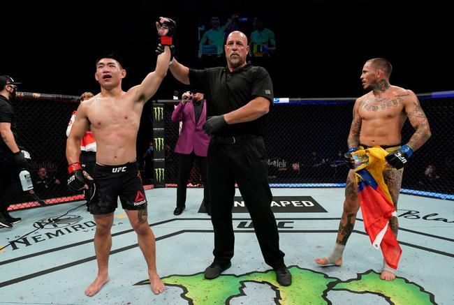 ufc选手排名_ufc选手图片(2)