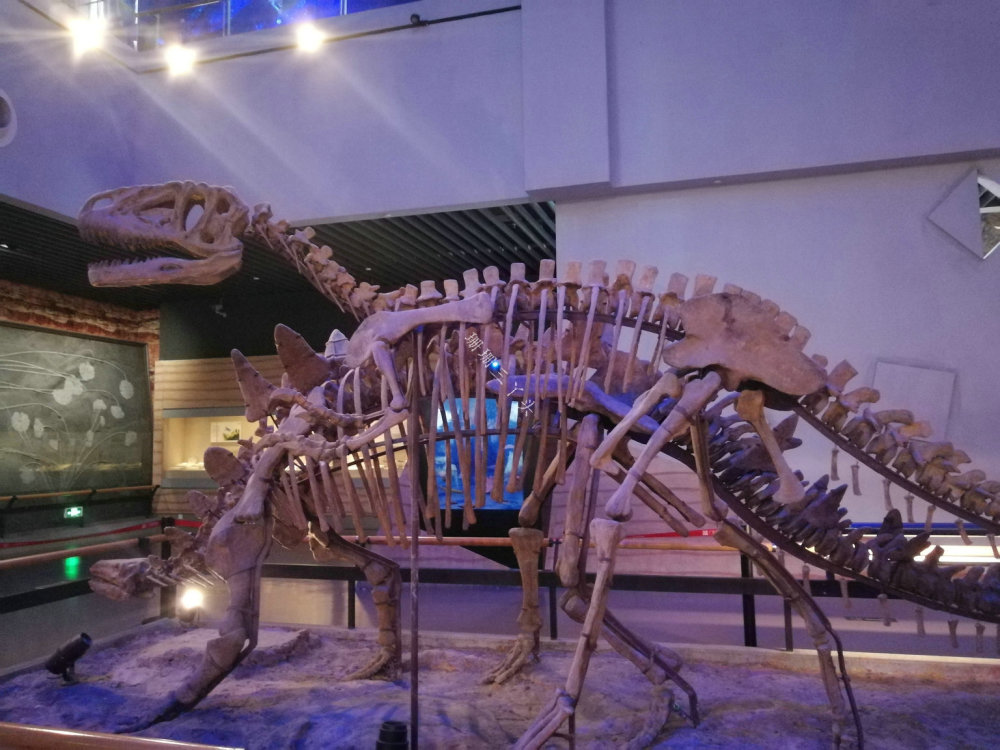 广州这座"雕通宝盒"外形的博物馆,有个遥远"中生代"恐龙世界