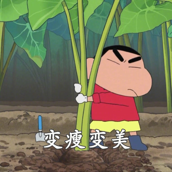 插画|白白胖胖,充满希望