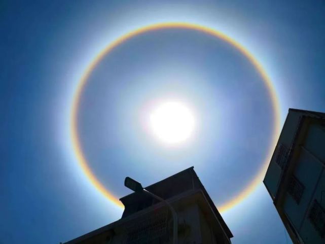 【疑惑】周末不休息,上杭畲乡这群干部忙啥呢?