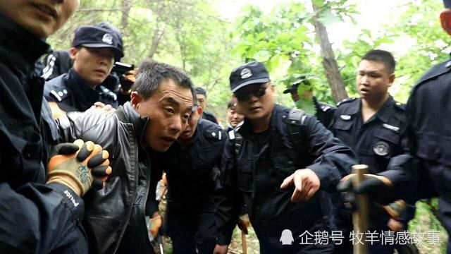 碱厂乡人口_人口普查图片