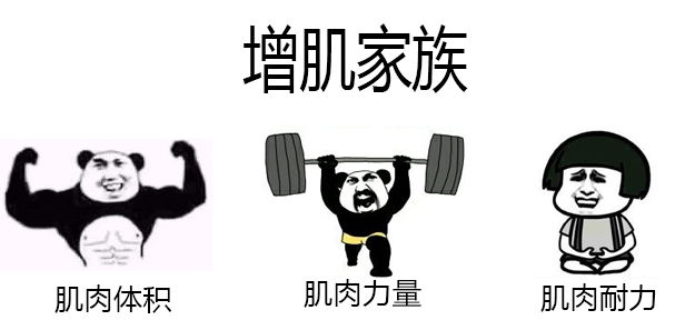 你还健什么身!停下你的减脂,来增肌吧!