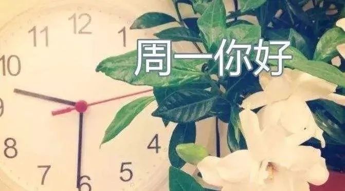 关于星期一早上好早安问候语句子 漂亮的唯美的周一早上好图片温馨的