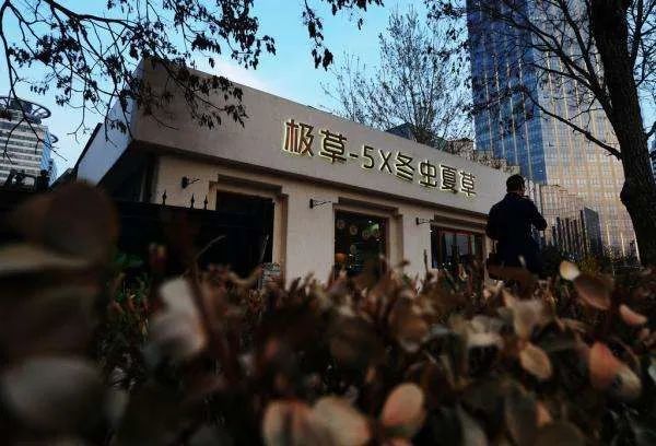 青海春天隐退主流虫草圈