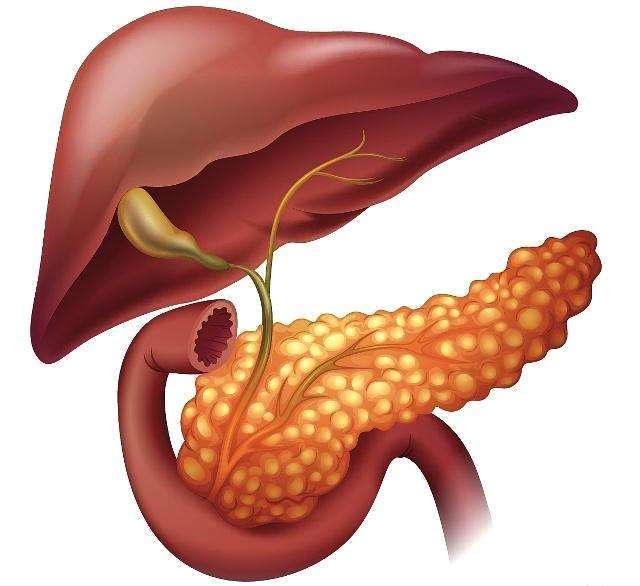 出现这些症状就要注意胰腺癌可能离你很近赶快到医院做筛查