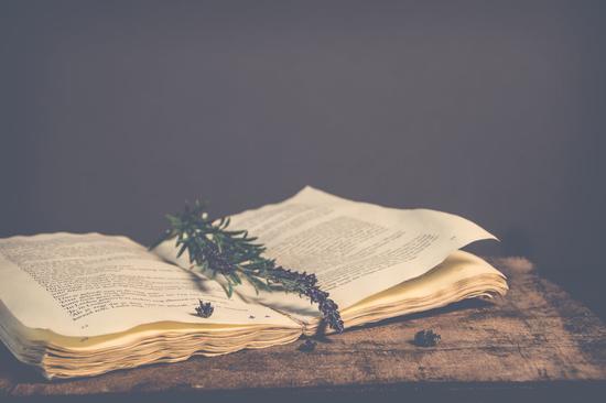 明星的冰箱都长啥样？这些妙用和好物不收可惜