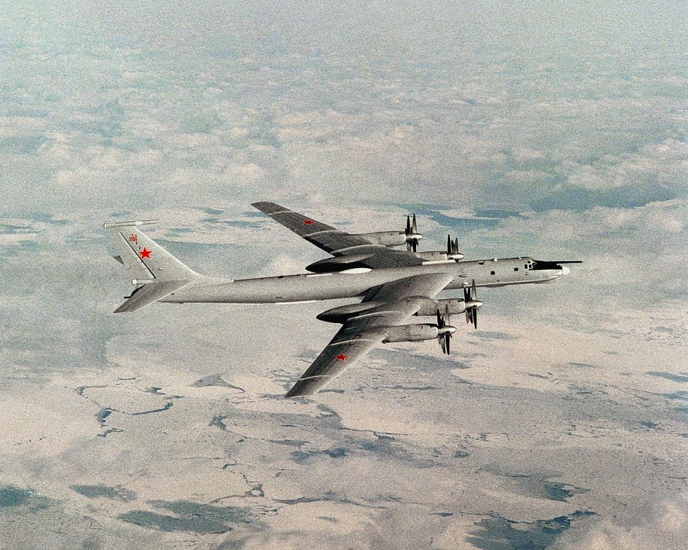 空中核梦想,冷战时期苏联的核动力战略轰炸机,图-119"燕子"