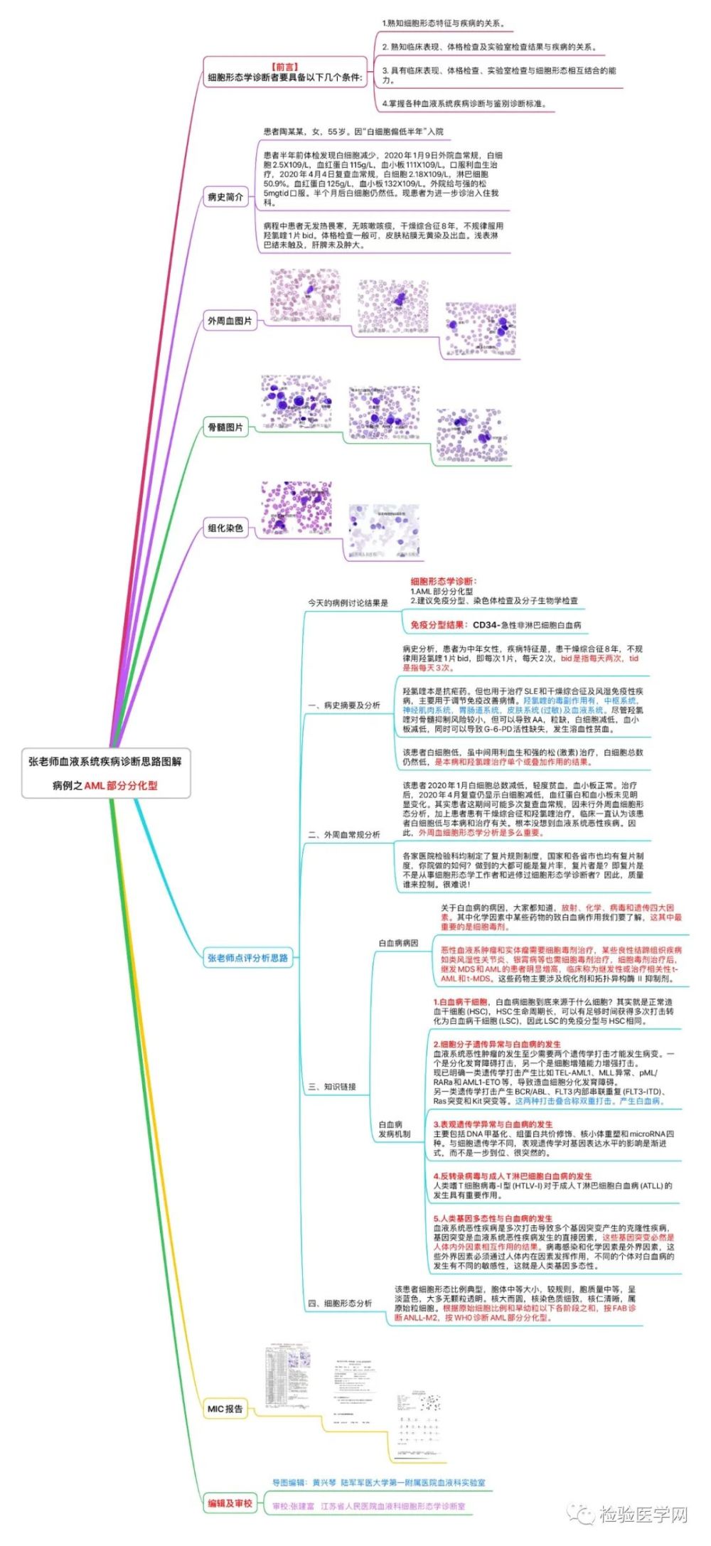 通过人体内在因素发挥作用,不同的个体对白血病的发生有不同的敏感性