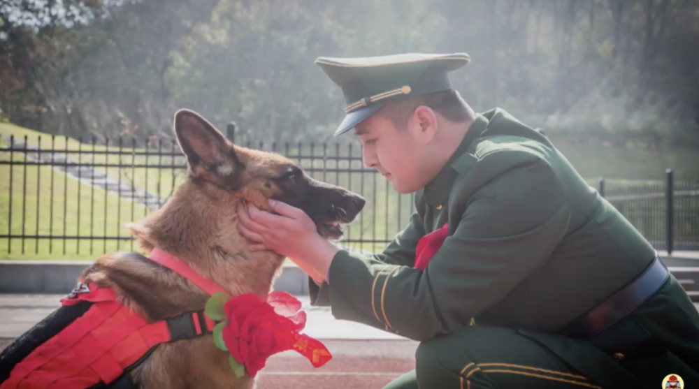 汶川地震12年后,搜救犬"沈虎"重回中队,不过这次它已变成一座雕像