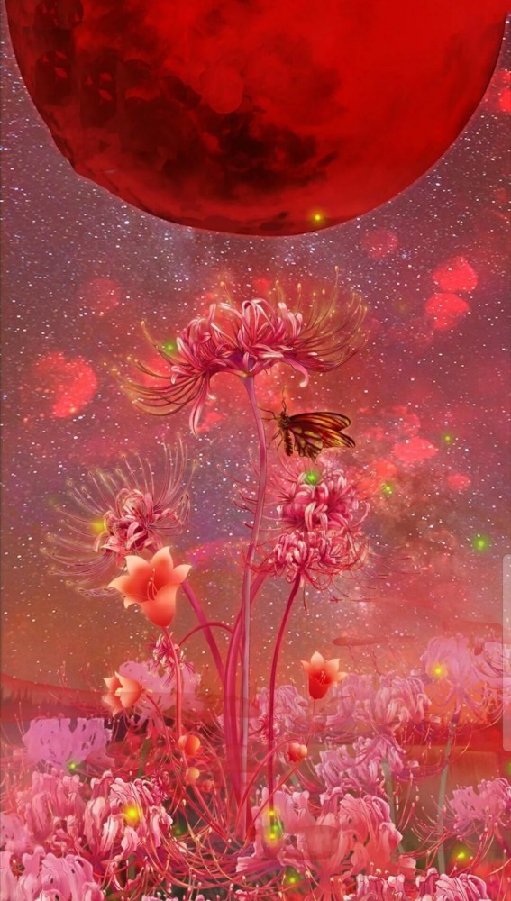 彼岸花系列—凄美伤感古风佳句_腾讯新闻