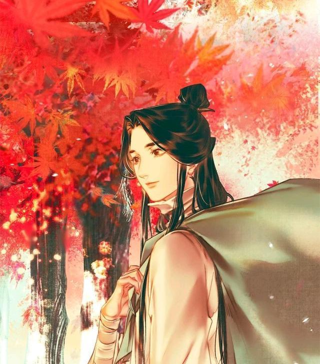 《天官赐福》手机主题,主题名称有意义,q版花怜也超萌