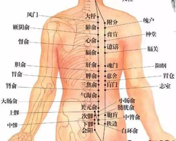 阳气就是真气阳气充足调和的人才能健康长寿艾灸补阳排湿毒还治空调病