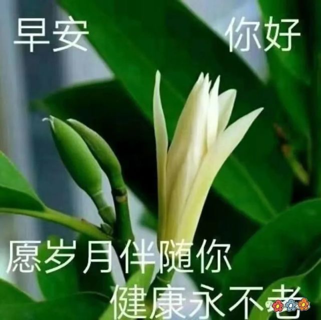 中老年表情包,愿岁月伴随你,健康永不老!