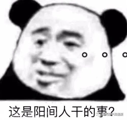 沙雕网友的智商有时候有多感人?哈哈哈哈哈哈哈这特么是一群傻子吧