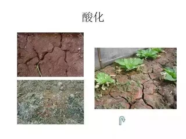 7亿亩耕地,需要进行土壤改良!