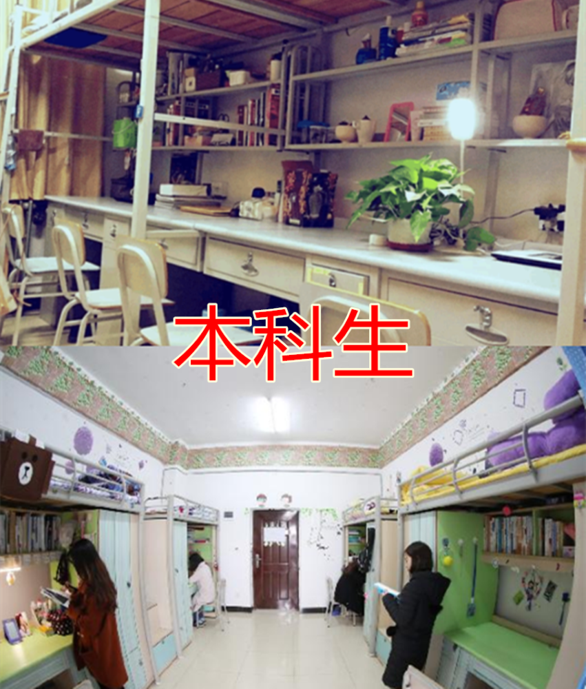 宿舍差距有多大?专科vs本科,看到博士的宿舍:下辈子一定当学霸!