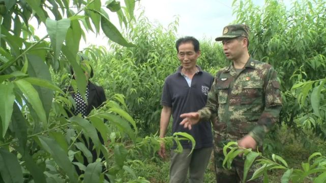 【奋进强军路】全国人大代表周丰林:军地协力 巩固脱贫成果