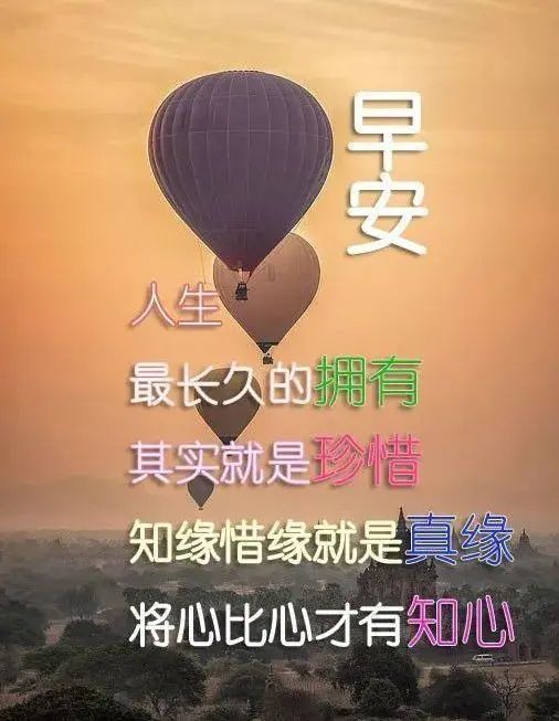 好看的鲜花早上好动态图片带字,早安图片祝福问候句子