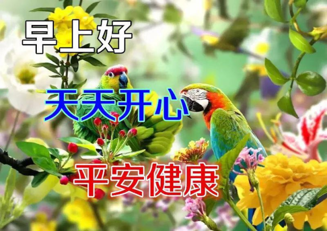 5月20日每日一句祝福语