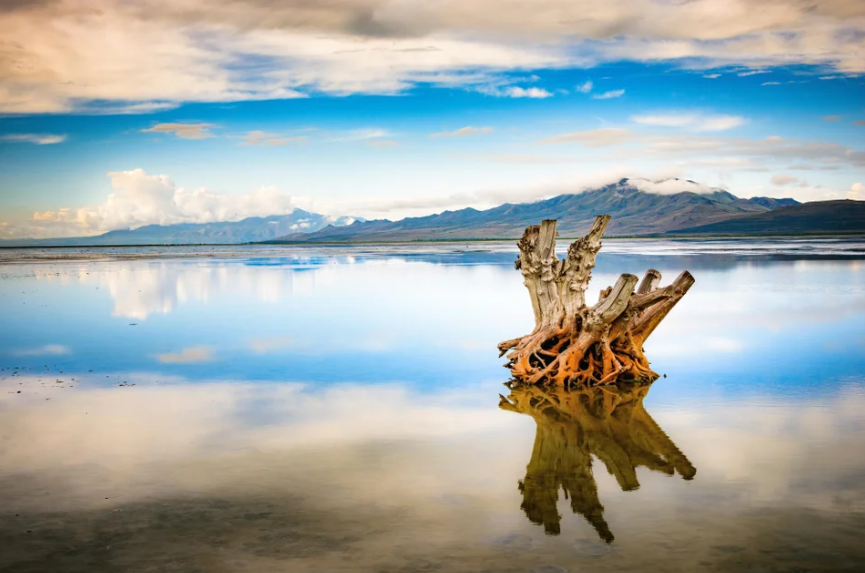 大盐湖位置示意图 (google maps,2020) 大盐湖(great salt lake)位于