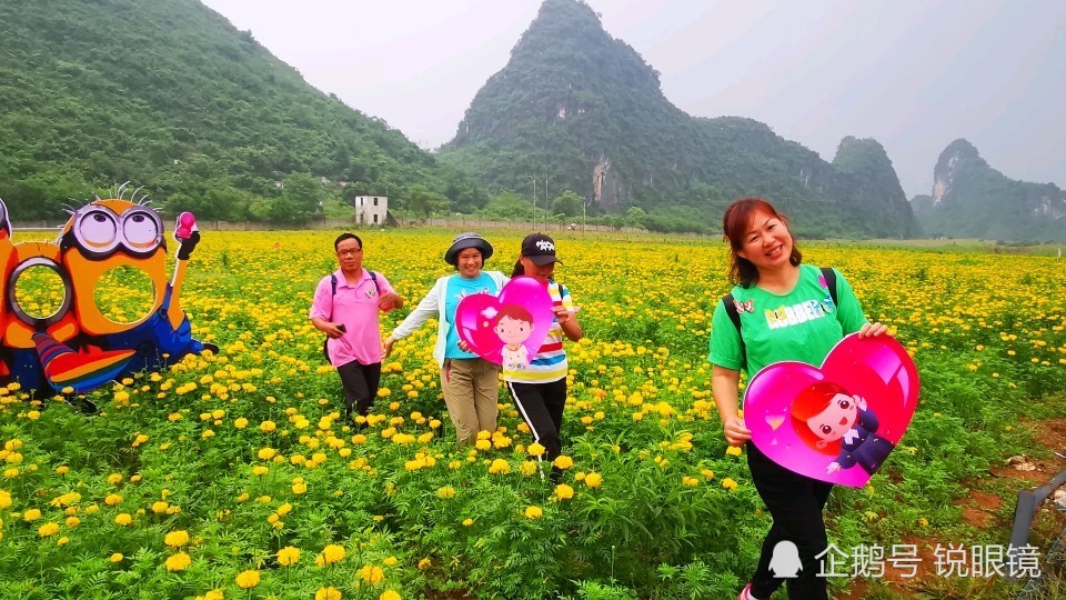 五二零桂林马家坊百亩花海正式开业