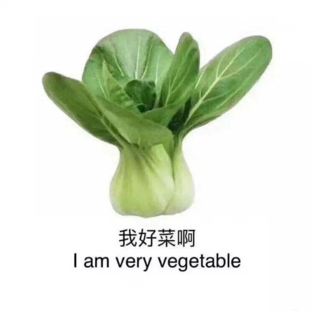沙雕表情包 争做学习冠军 南上加南