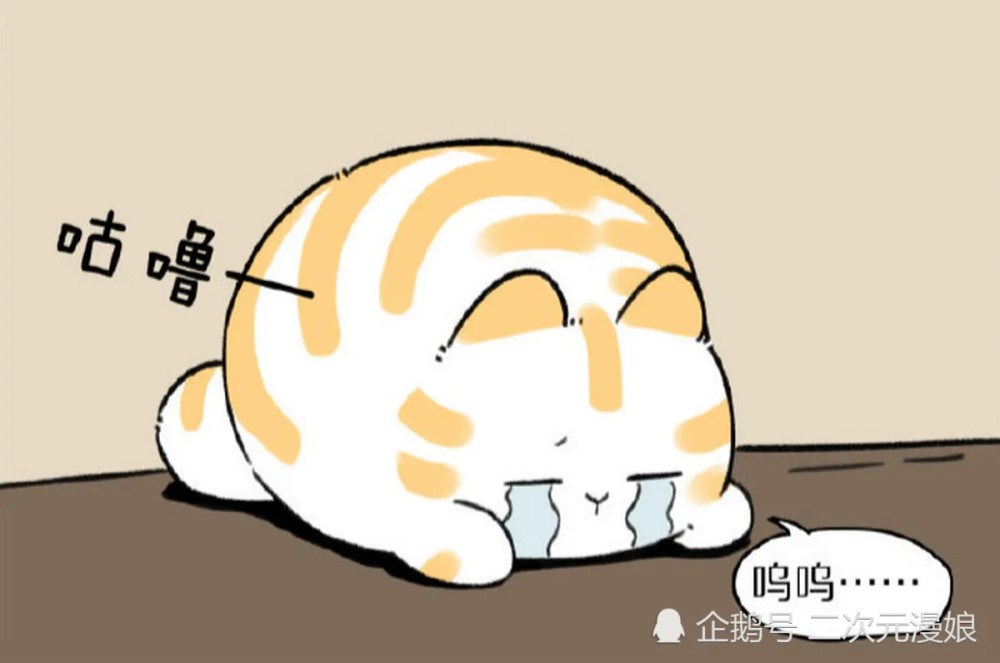 搞笑疯人:大花猫肚子咕咕叫,很伤心的在哭着,这时一只