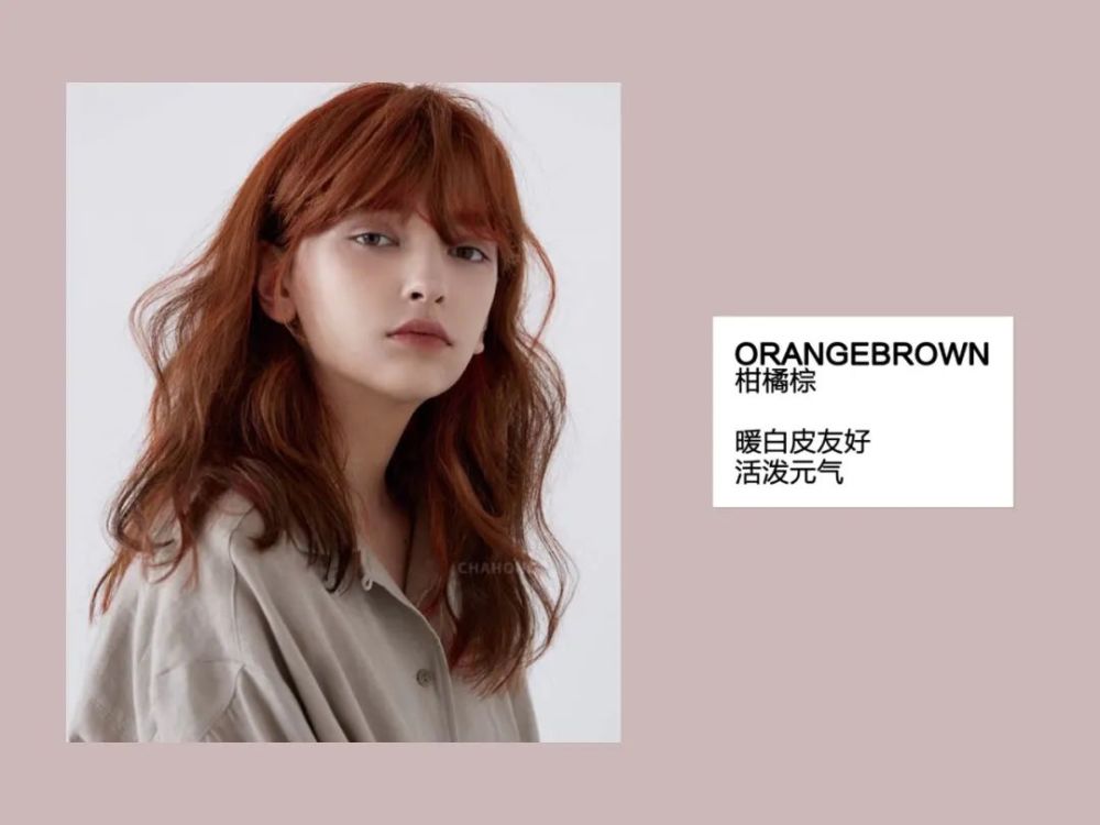 变美模板鞠婧祎就连头皮也是假的？为了美她可真狠呐！