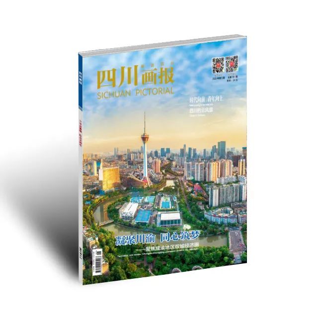 宜宾县2020年经济总量_2020-2021跨年图片(2)
