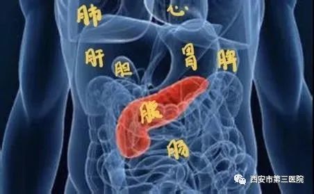 【医者解读】美酒佳肴一时爽,得了胰腺炎却这么的