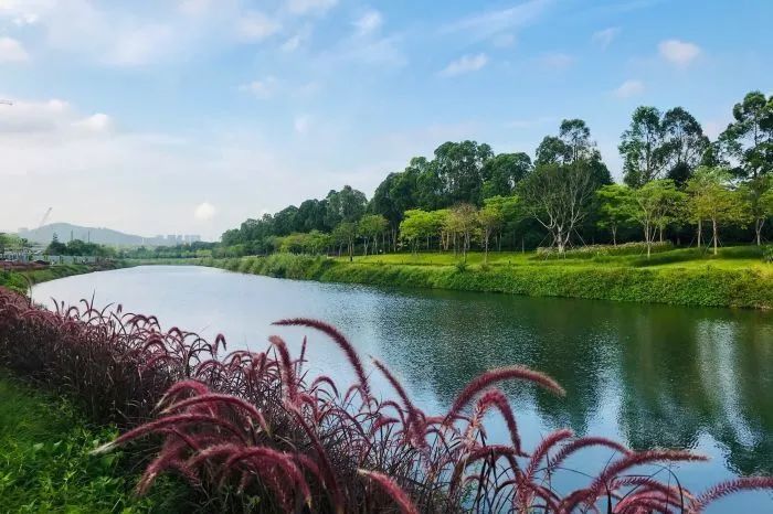 北连长岭陂,南入深圳湾 九祥岭湿地公园,玖祥公园,大沙河公园, 深圳