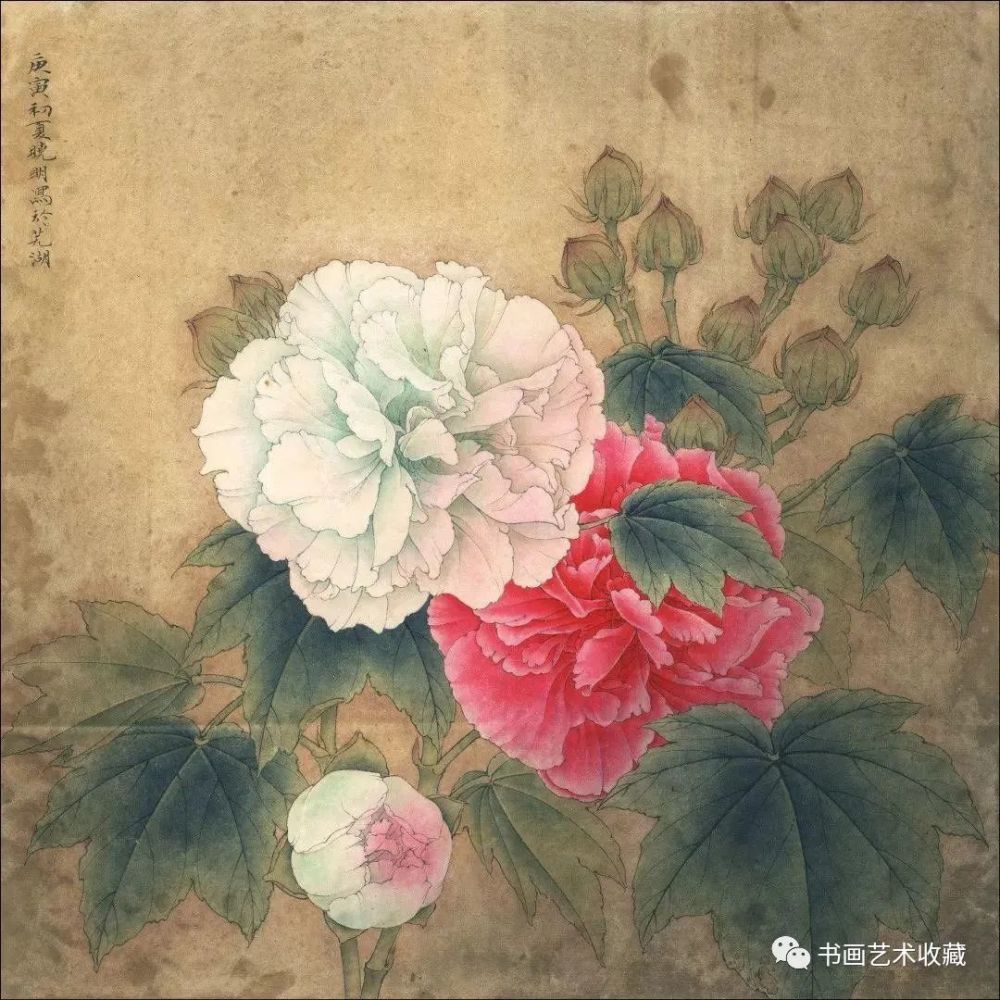 国画芙蓉花,真是太漂亮了,慢慢欣赏!