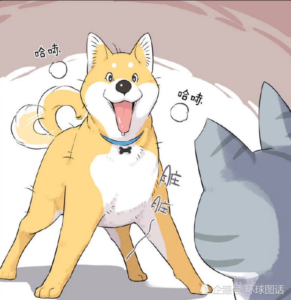 搞笑疯人:小猫咪正在洗脸,大黄狗一只在旁边看着,其实