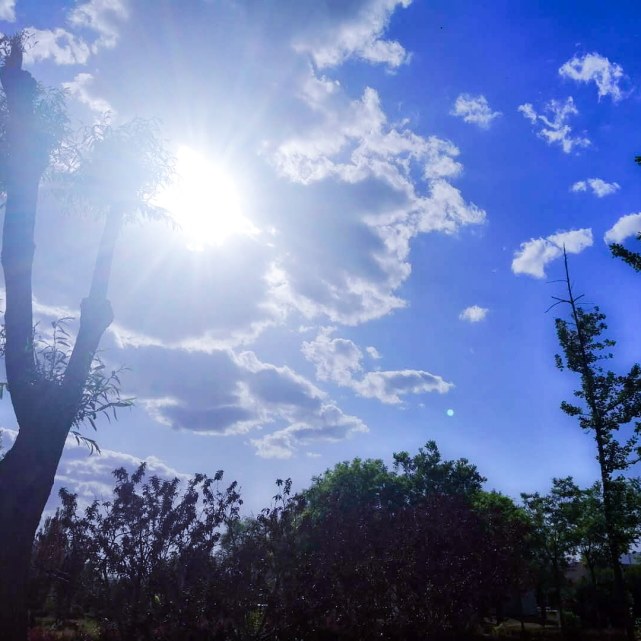 坐在凉亭为了躲太阳的抬头看 白云都不忍心挡住太阳的光芒 (来自:繁简