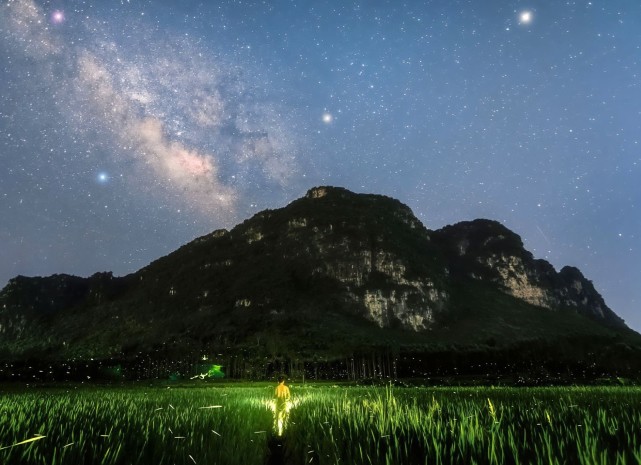 萤火夏日,星光满天