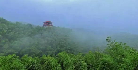 桃花江竹海风景区