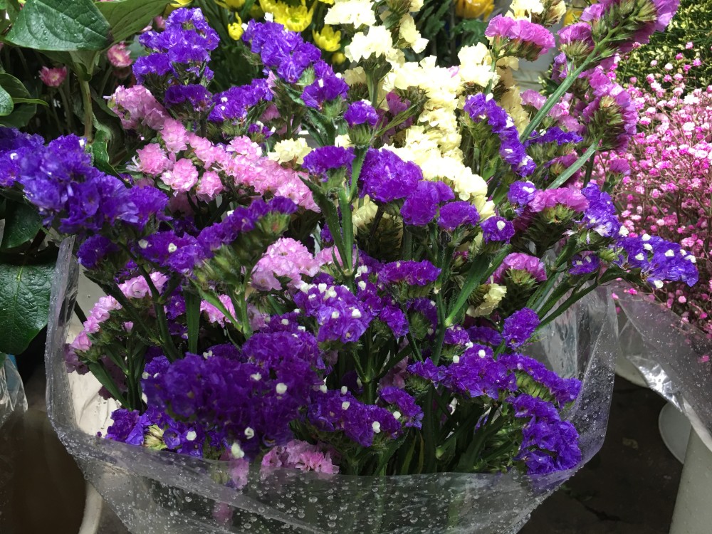 520爱情表白日,收到鲜花的你要知道几种常见鲜花的花语