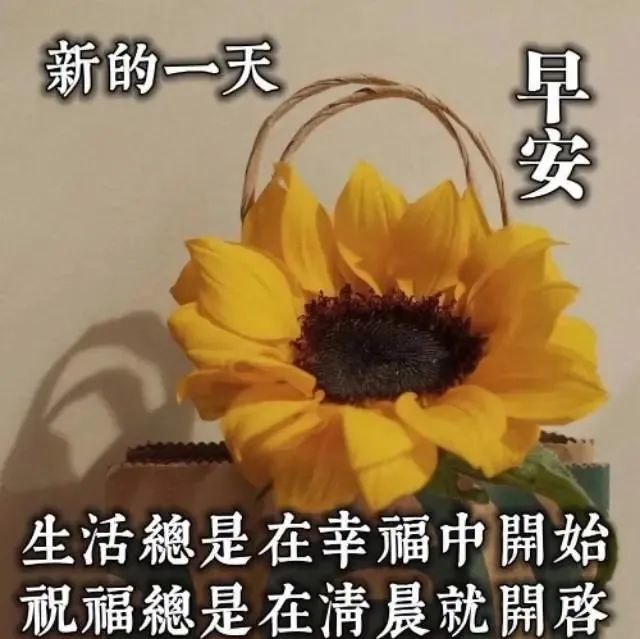 10月28日周四最新早上好问候祝福动态表情图片最新早安问候语动态图片