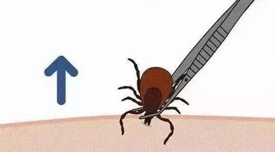 当心！合肥疾控中心发布提醒