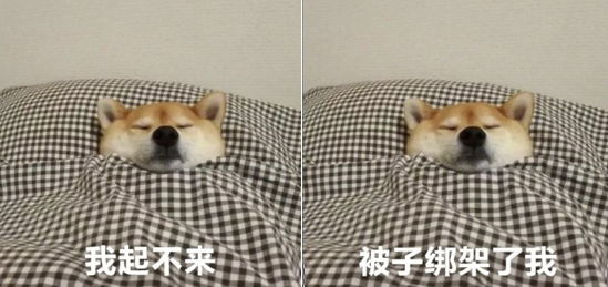 遥远的边疆……"——央视主持人朱广权 生活如此烦躁,睡觉却如此美妙