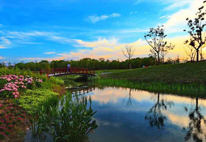 让您可以在青山绿水中开阔视野 在生态罗泾澄净心灵 萱草文化园
