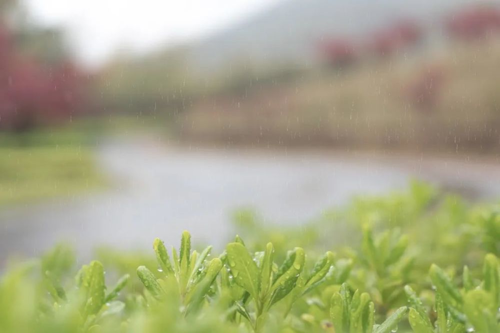 葳蕤,氤氲,迤逦,瞳朦,这些怎么读?