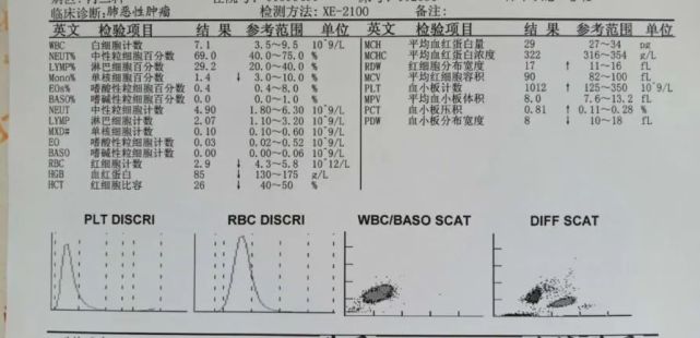 血小板计数破千,竟是因为它