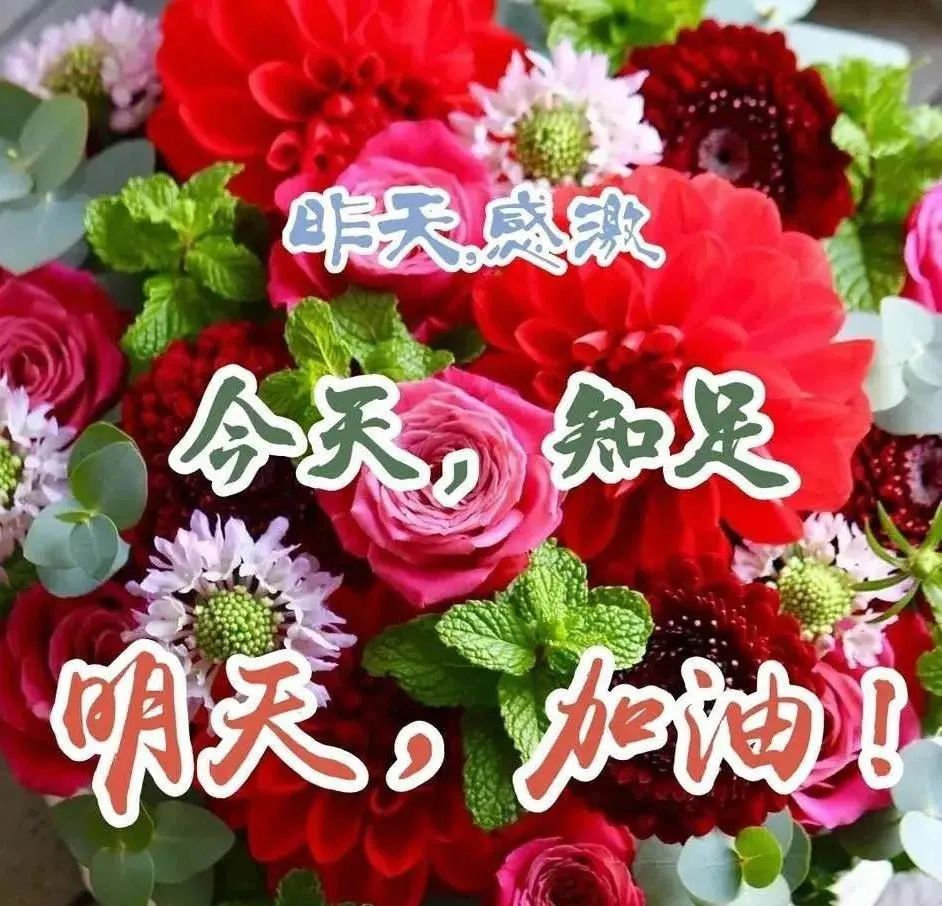中老年表情包,笑看人生,静观世事!