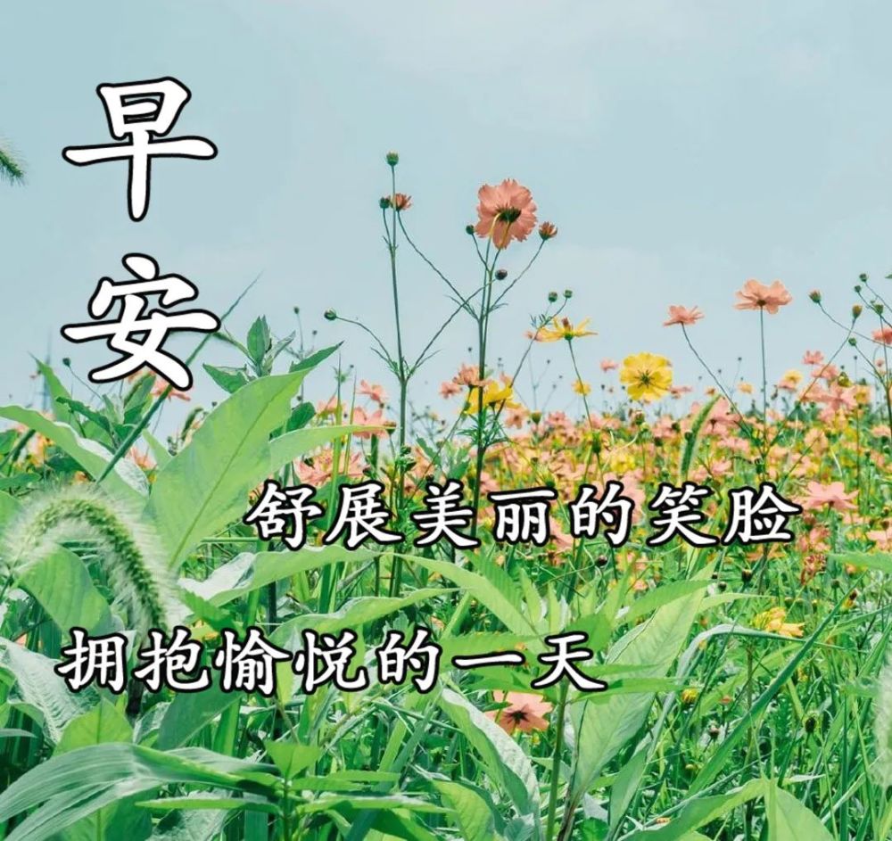 5月24清晨早安祝福语,漂亮的唯美图片动态表情