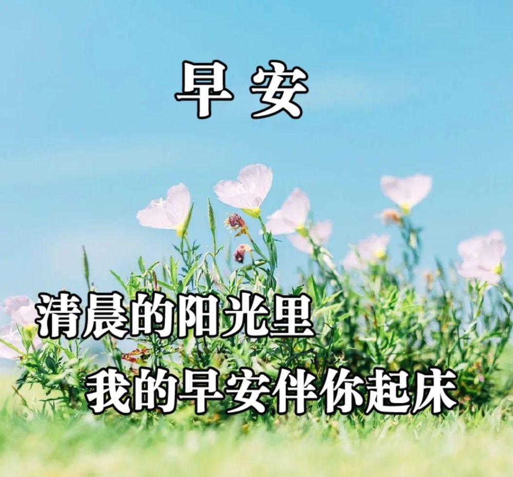 9月3清晨早安祝福语漂亮的唯美图片动态表情
