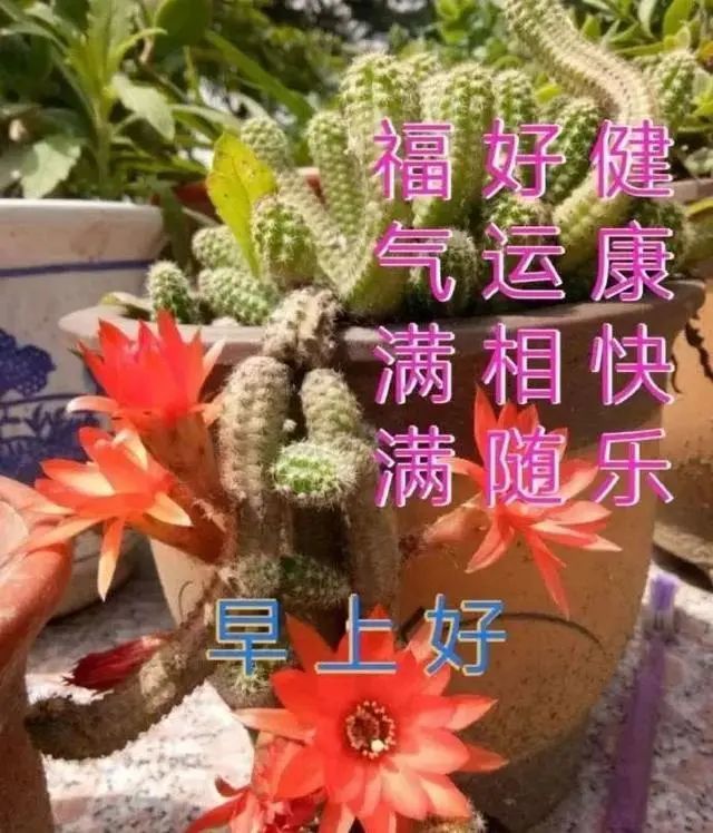 4月17日最新早安唯美问候祝福语句,最美的早上好文字祝福表情美图