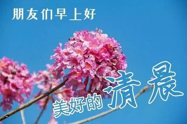 微信漂亮又唯美朋友圈早晨问候语 最新早上好问候语